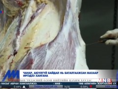 Чанар, аюулгүй байдал нь баталгаажсан махаар иргэдээ хангана