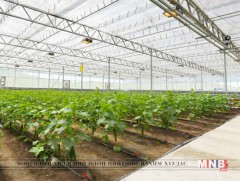 “Өвлийн хүлэмжийн аж ахуй” төсөл хэрэгжүүлнэ