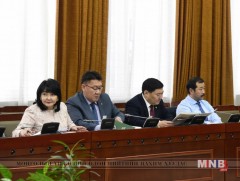 Жижиг, дунд үйлдвэр, үйлчилгээг дэмжих тухай хуулийн төслийн анхны хэлэлцүүлгийг хийв