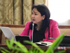 Нөхөн үржихүйг дэмжих зохицуулалтын тухай хуулийн төслийн үзэл баримтлалыг хэлэлцэхийг дэмжив