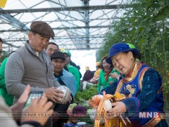 Хүлэмжийн аж ахуйн хэрэглээний эрчим хүчийг шөнийн тарифийн хөнгөлөлтөд хамруулна