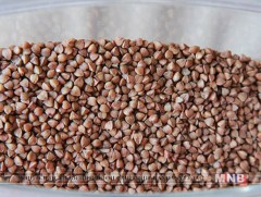 Гурвалжин будааны гайхамшиг