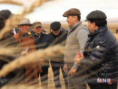 Eрөнхий сайд У.Хүрэлсүх тариалангийн бүс нутагт ажиллаж байна