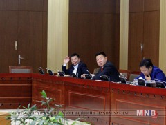 Цэцийн 12 дугаар дүгнэлтийг хүлээн зөвшөөрөх нь зүйтэй гэж үзлээ 