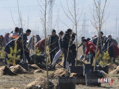 ЗГХЭГ-ын хамт олон Үндэсний цэцэрлэгт хүрээлэнд мод тарилаа
