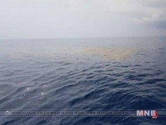 Сүйрэл болсон газраас амьд хүн олдоогүй 