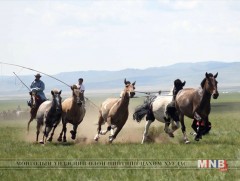 Малчид гэрэл зургийн үзэсгэлэн гаргана