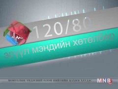 Химийн хорт болон аюултай бодис хүний эрүүл мэндэд нөлөөлөх нь...