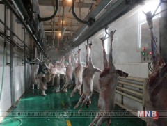 Иран Улсад малын дайвар бүтээгдэхүүн экспортолно