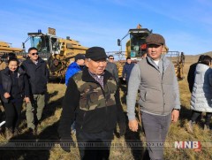 Сэлэнгэ аймагт ургац хураалт 46 хувьтай байна