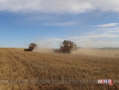 Үр тариа хураалт бусад аймгаас өндөр буюу 36 хувьтай, ургац алдахгүй гэв