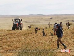 Ургац хураалт 80 хувьтай явагдаж байна