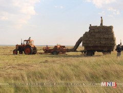 Өвөлжилтийн бэлтгэл ажил 85,8 хувьтай байна   