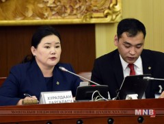 Төсвийн тогтвортой байдлын зөвлөлийн даргаар Д.Даваасамбууг томиллоо