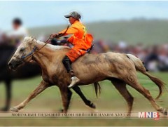 Уралдаанч хүүхдүүдийг цахим бүртгэлд хамруулна