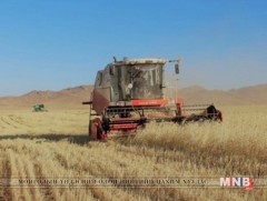 Ургац хураалт дуусч, 409.6 мянган тонн тариа хураажээ