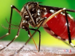 Энэтхэг улсын иргэн 