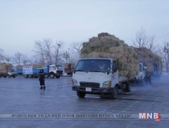Өмнөговь аймагт одоогоор өвөлжилтийн бэлтгэл ажил 88 хувь хангагджээ