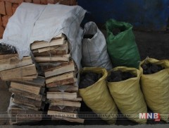 Нэг айл дунджаар 1 сая төгрөгийн түлээ, нүүрс хэрэглэдэг