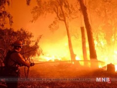 Калифорнид ойн түймрээс болж амь насаа алдсан хүний тоо 79-д хүрч нэмэгджээ