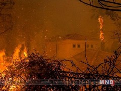 Калифорни мужид гамшгийн дэглэм тогтоолоо 