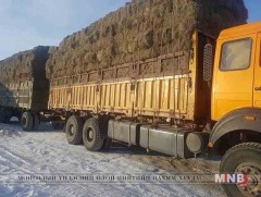 Өвс, тэжээлийн аюулгүйн нөөцийг энэ сард багтаан нөхөн бүрдүүлэхийг үүрэг болгов