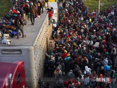 Хууль бус цагаачдын эхний бүлэг Америкийн хил дээр ирээд байна