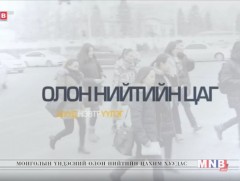 Иргэний харьяалал, гадаад иргэнд хүүхэд үрчлүүлэх...