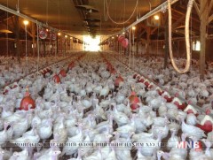 БНХАУ-ын Юнлин хотод хорио цээрийн дэглэм тогтоожээ