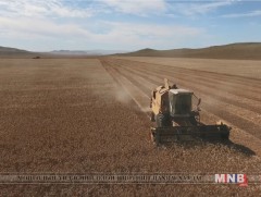 Төв аймгийн тариаланчид улсын хэмжээний хураан авсан үр тарианы 21.2 хувийг хангажээ 