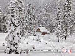 Жирэмсэн эхчүүд, 0-5 насны хүүхдүүдийг цэвэр агаарт ээлжээр амраана