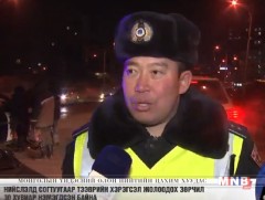 Согтуугаар тээврийн хэрэгсэл жолоодох зөрчил 30 хувиар нэмэгдэж байна