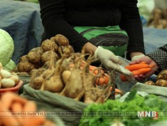 Дөрвөн жилийн хугацаанд ногоо тарьдаг өрхийн тариаланчдын тоо 28 мянгаар буурчээ