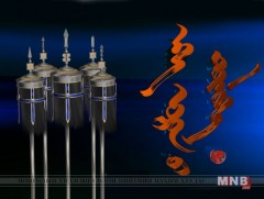 Эх орны төлөө