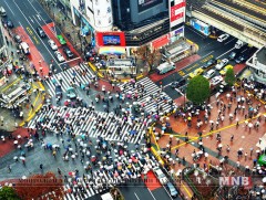 Гадаадын иргэдийн амьдралыг хялбар болгох төсөл боловсруулж дуусав