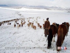 Ховд аймгийн газар нутгийн 70 орчим хувь нь зудын эрсдэлтэйд тооцогджээ