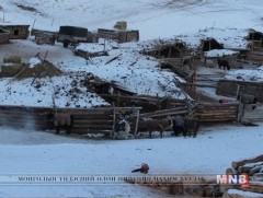 Баян-Өлгий аймгийн мал 60 орчим мянган толгойгоор буурчээ