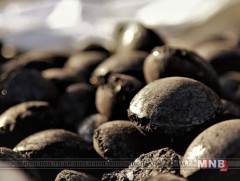 600 мянган тонн шахмал түлш үйлдвэрлэх үйлдвэрийн ажлыг эрчимжүүлнэ