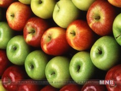 Импортын алим, жимсэнд хяналт шалгалт хийж байна