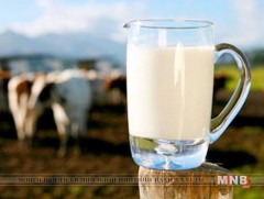 Манай улс импортын сүү сүүн бүтээгдэхүүнд 90 гаруй тэрбум төгрөг зарж байна