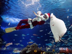 Далайн гүнд Санта Клаустай зургаа даруулах үйлчилгээ шинээр нээжээ 