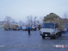 Малчдад хямд үнэтэй өвс тэжээл шаардлагатай байна