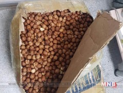 Гарал үүсэл нь тодорхойгүй 20кг орчим ойн самрыг хураав