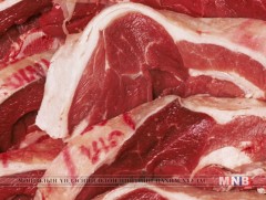 Маханд чанар, аюулгүй байдалд шинжилгээ хийлээ