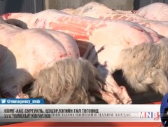 Сургууль, цэцэрлэгийн гал тогоонд ууц чанахыг хориглов 