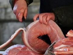 Гахайн махнаас мялзан өвчний вирус илэрчээ