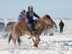 Өвөл, хаврын улиралд хурдан морины уралдааныг хориглов