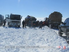Ховд аймгийн 13 сумын малчдад өвс тэжээлийн дэмжлэг үзүүлэхээр боллоо
