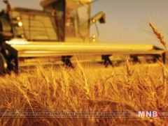 Улсын аварга тариаланч, аварга тариаланч хамт олныг тодрууллаа