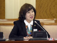 Эрүүл мэндийн сайд Д.Сарангэрэл мэдээлэл хийлээ